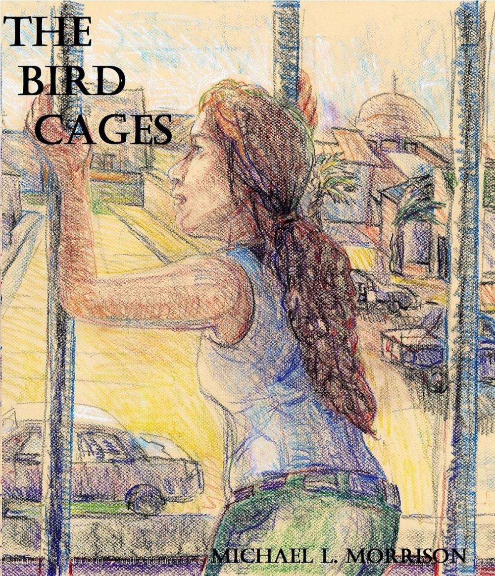 Big bigCover of The Bird Cages (A Novella)