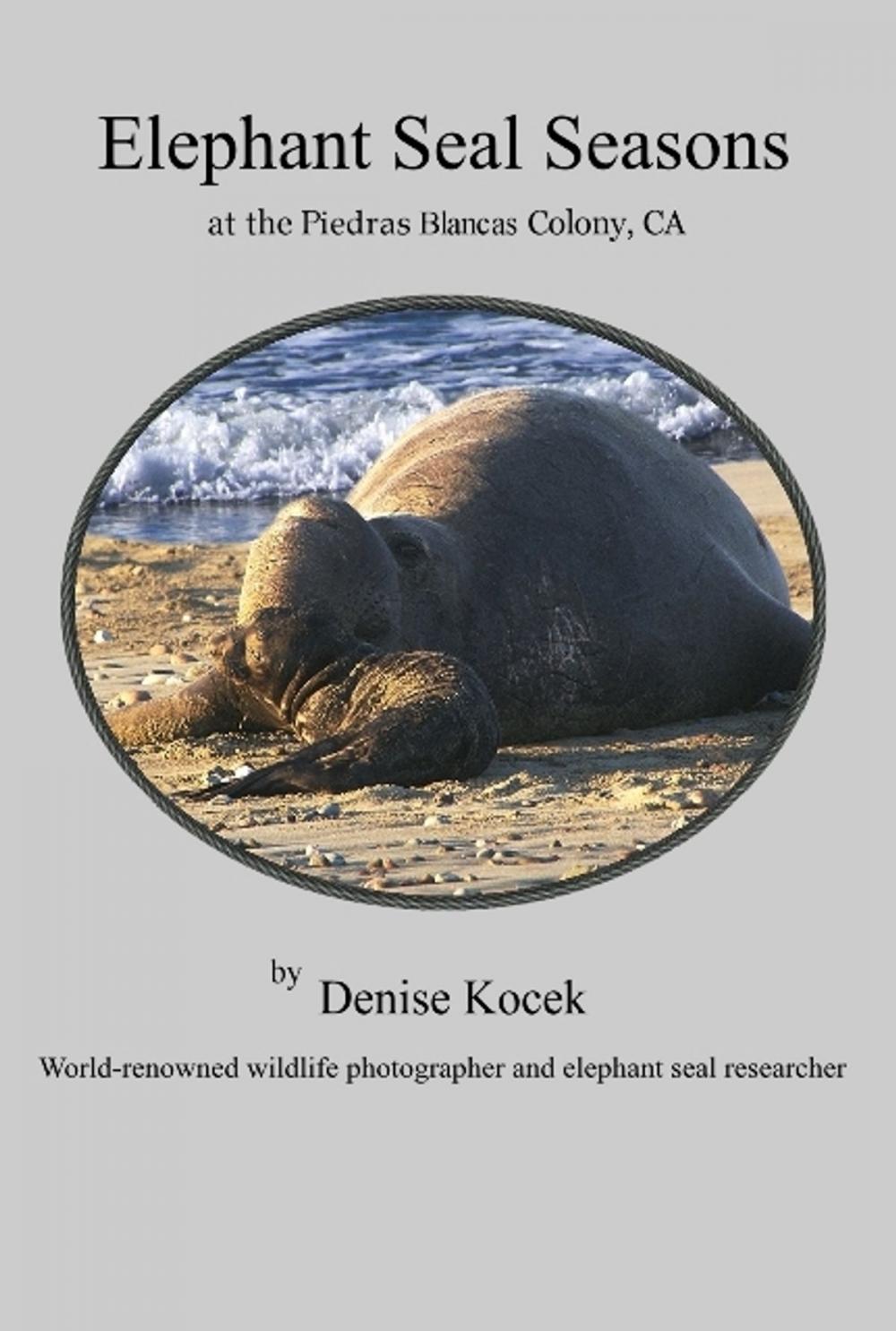 Big bigCover of Elephant Seal Seasons at the Piedras Blancas Colony, CA