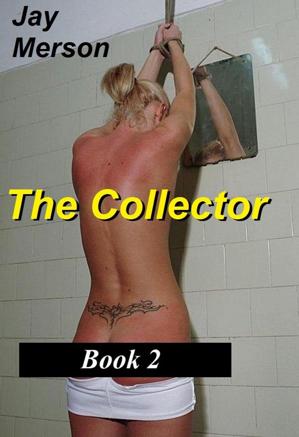 Big bigCover of The Collector - Books 2 (Strong BDSM erotica)