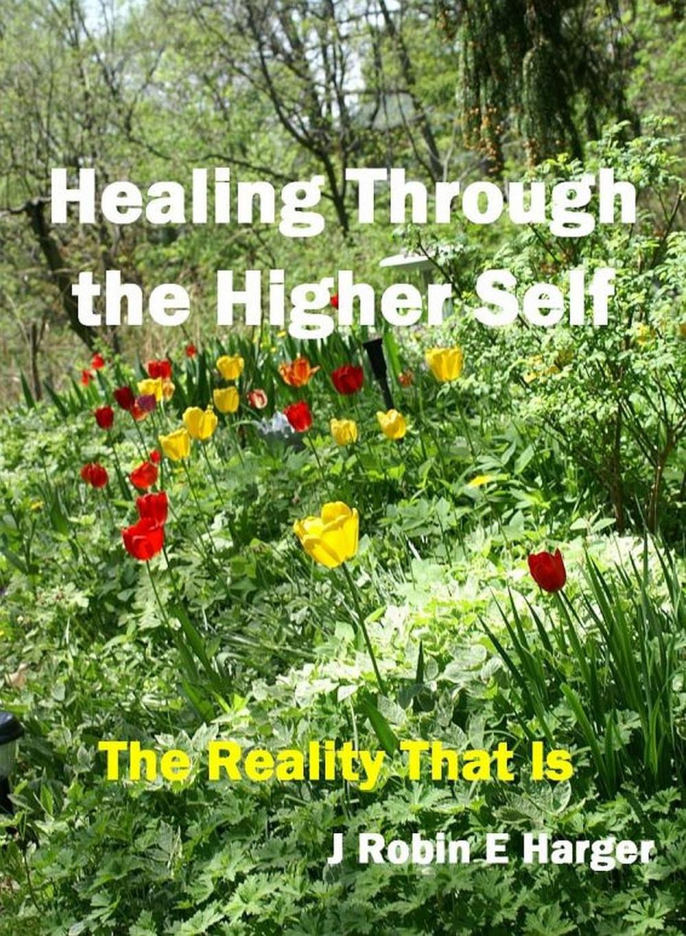 Big bigCover of Healing Through the Higher Self The Reality That Is