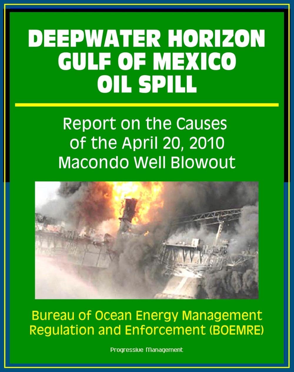 Big bigCover of Deepwater Horizon Gulf of Mexico Oil Spill: Report on the Causes of the April 20, 2010 Macondo Well Blowout