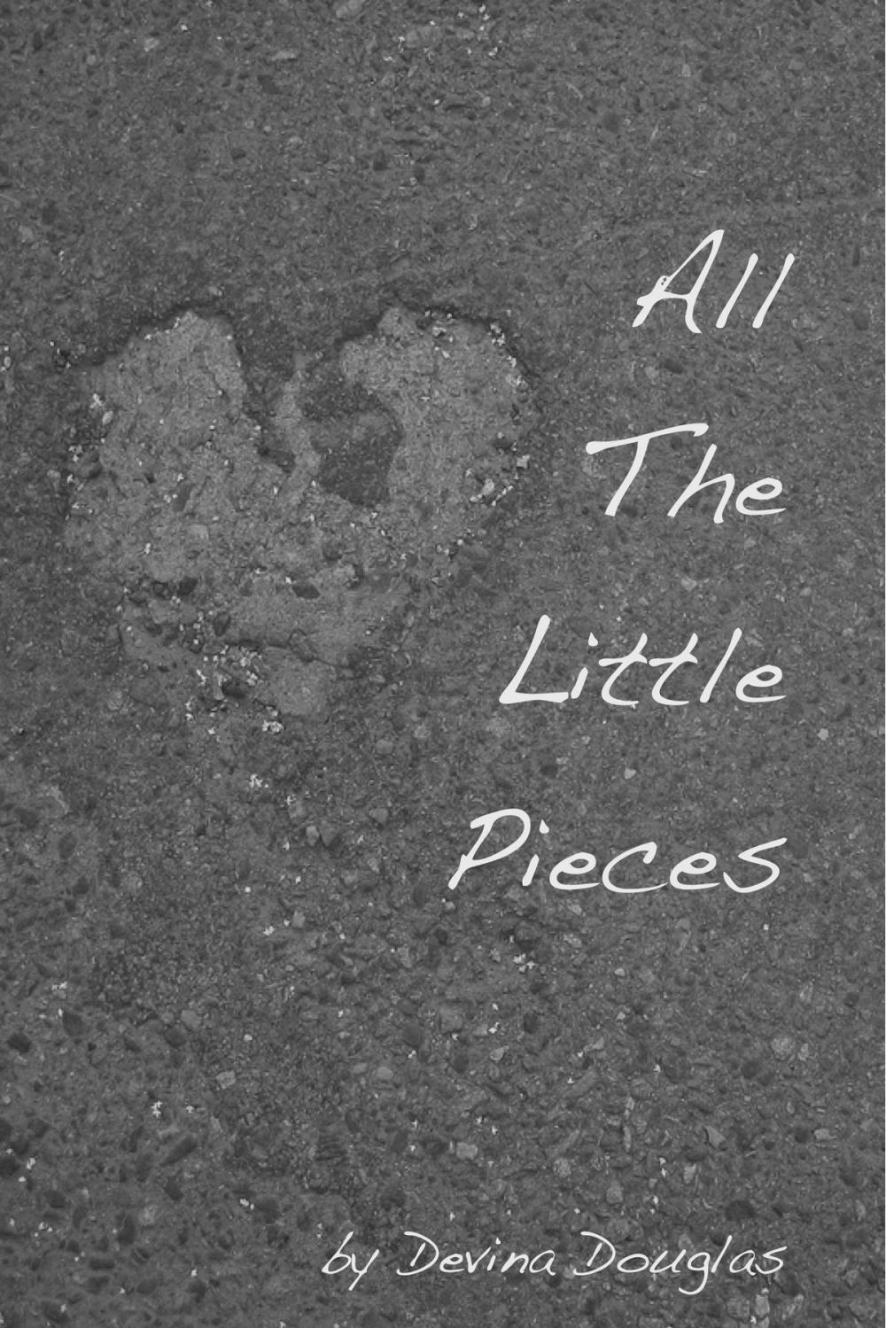 Big bigCover of All The Little Pieces