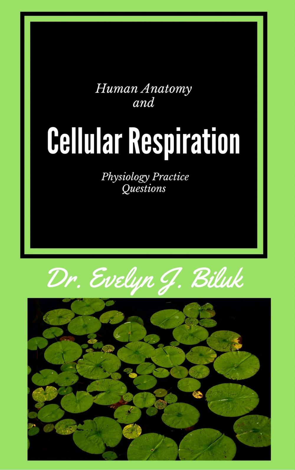 Big bigCover of Human Anatomy and Physiology Practice Questions: Cellular Respiration