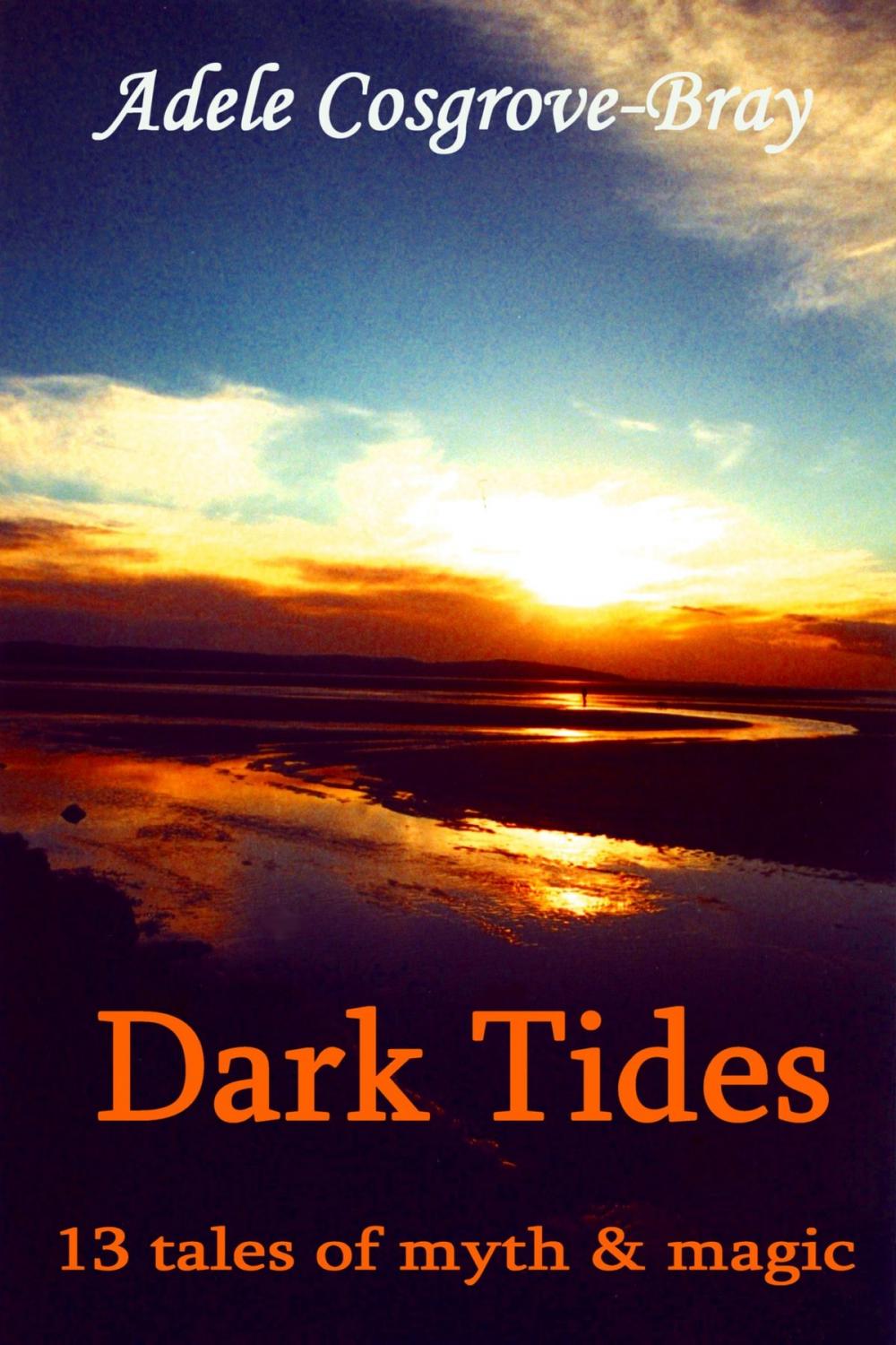 Big bigCover of Dark Tides