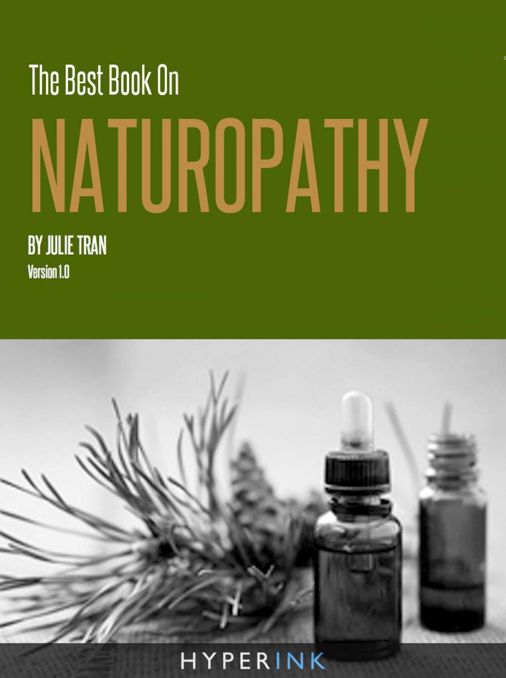 Big bigCover of The Best Book On Naturopathy