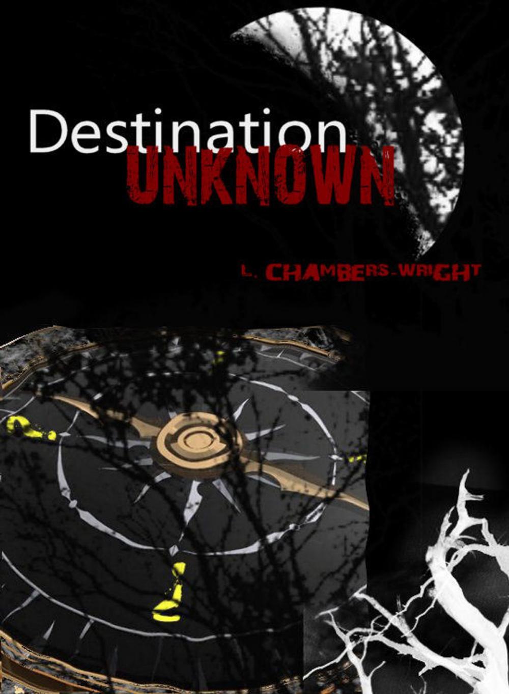 Big bigCover of Destination Unknown