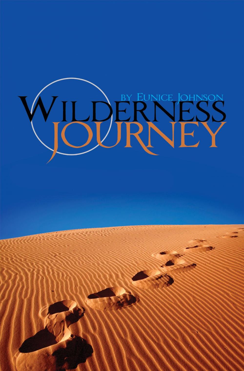 Big bigCover of Wilderness Journey