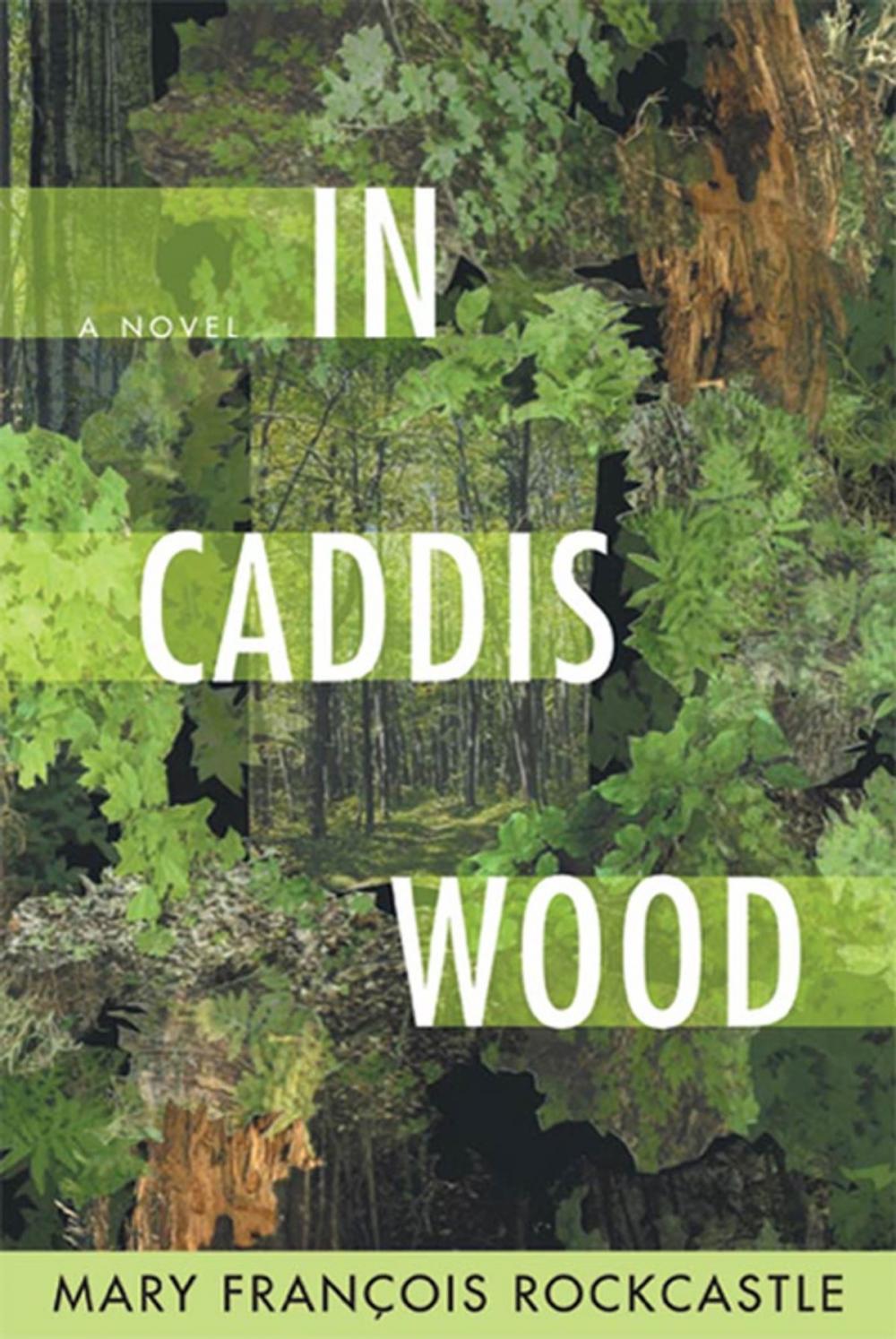 Big bigCover of In Caddis Wood
