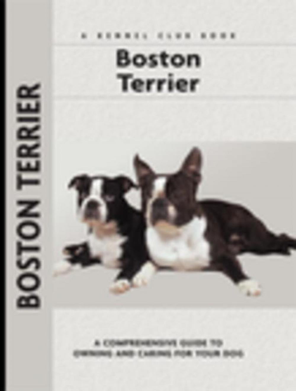 Big bigCover of Boston Terrier