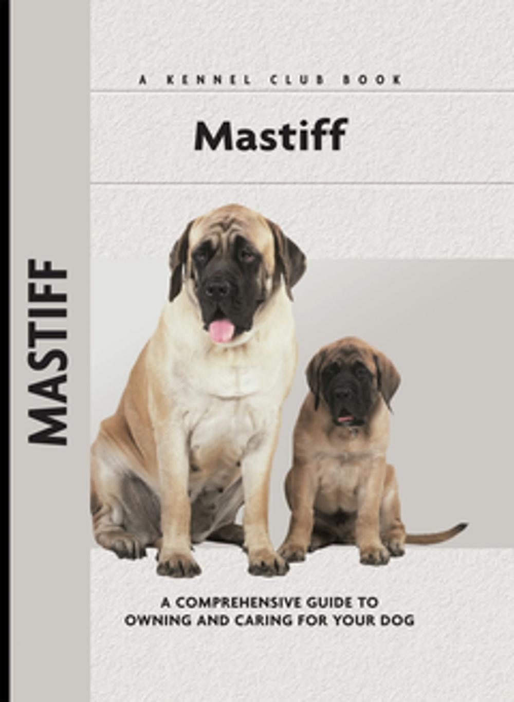 Big bigCover of Mastiff