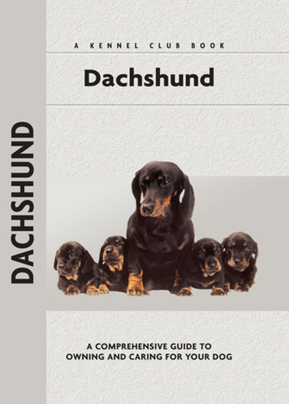 Big bigCover of Dachshund