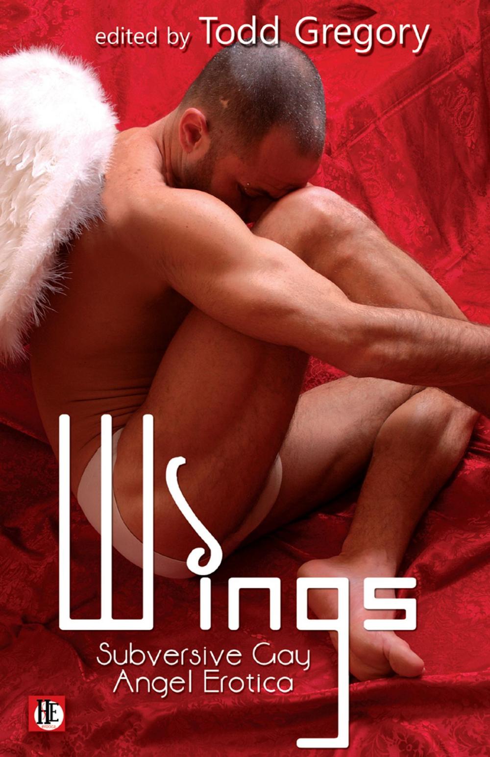 Big bigCover of Wings: Subversive Gay Angel Erotica