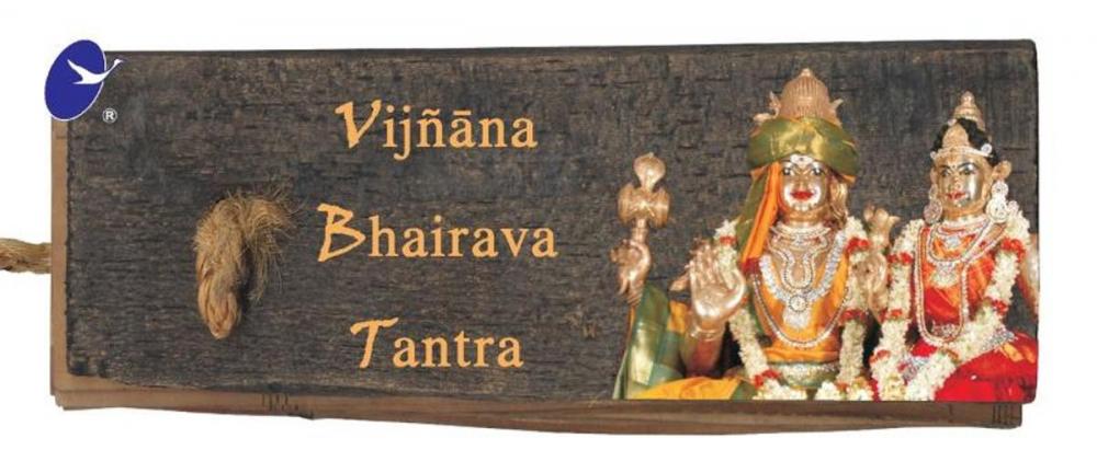 Big bigCover of Vijnana Bhairava Tantra