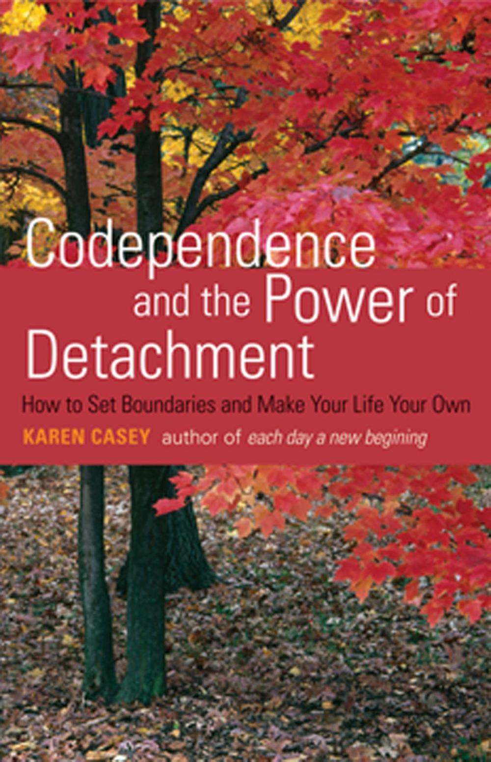 Big bigCover of Codependence and the Power of Detachment: How to Set Boundaries and Make Your Life Your Own