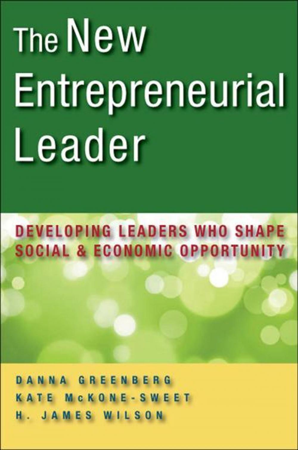 Big bigCover of The New Entrepreneurial Leader