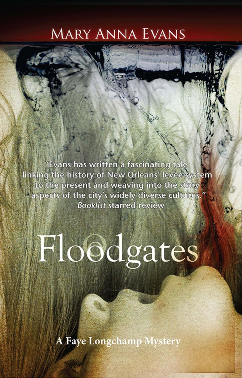 Big bigCover of Floodgates