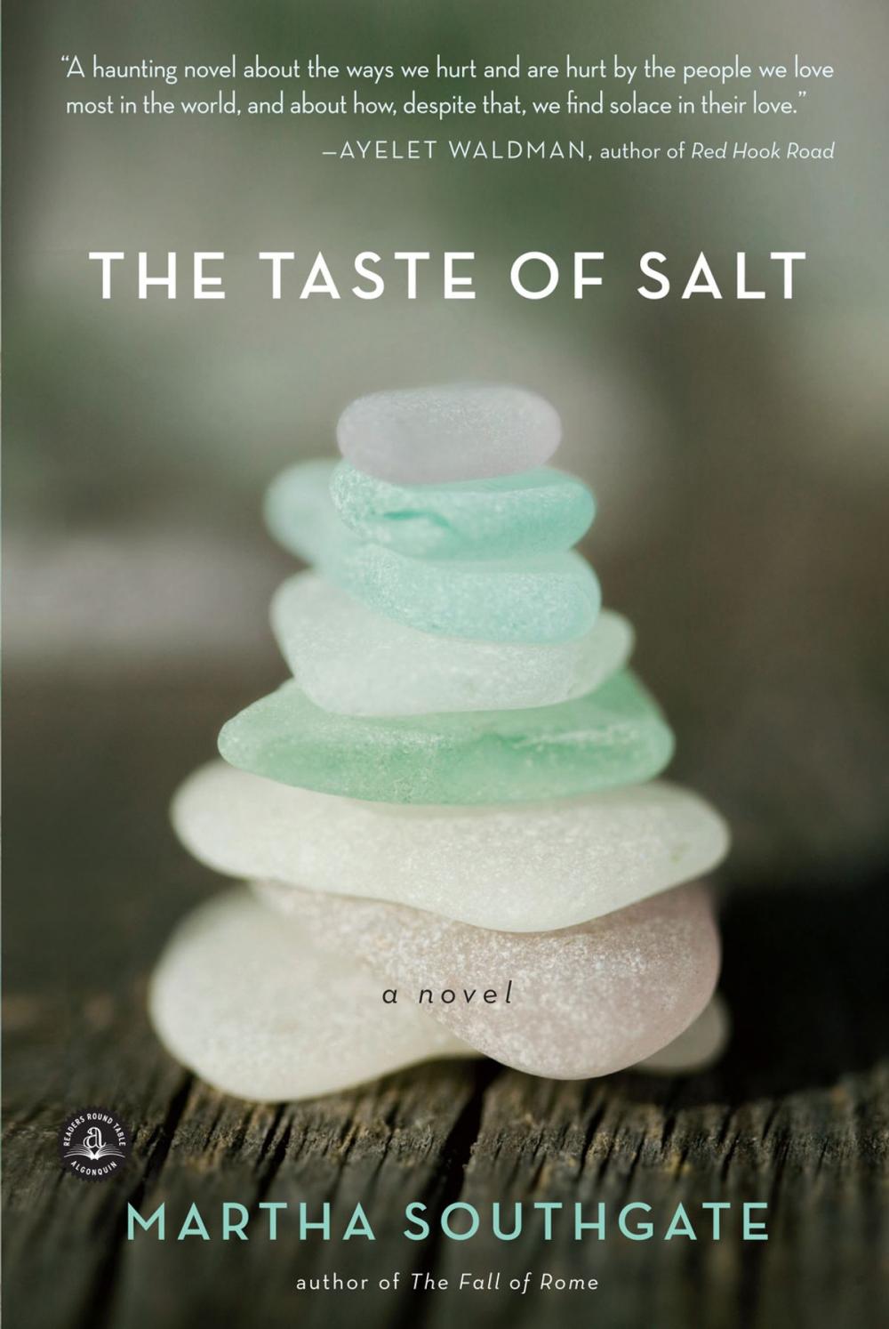 Big bigCover of The Taste of Salt