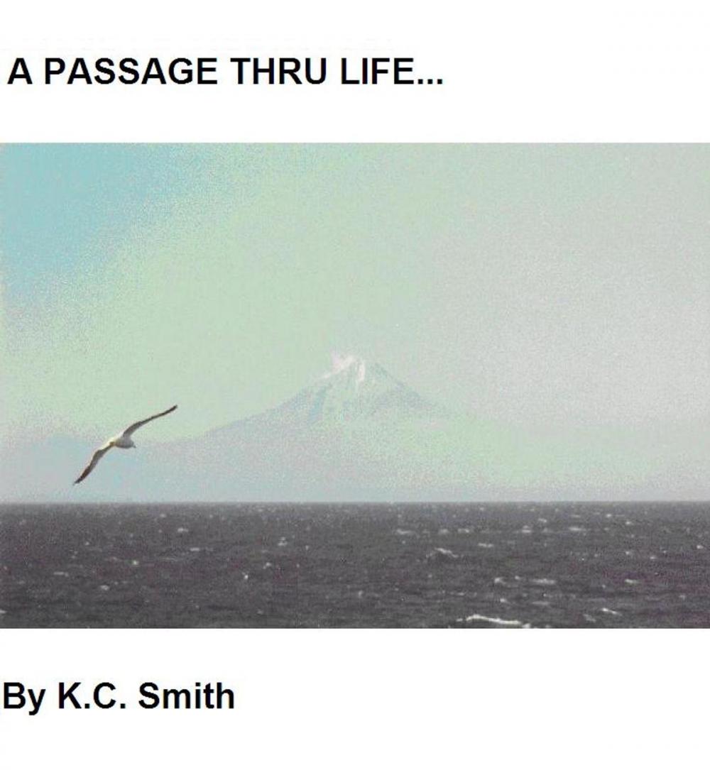 Big bigCover of A Passage Thru Life