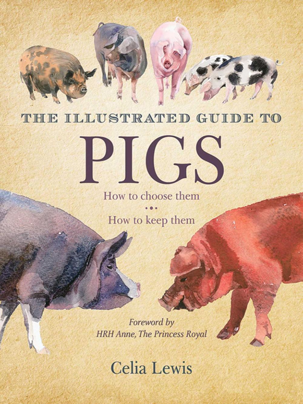 Big bigCover of The Illustrated Guide to Pigs