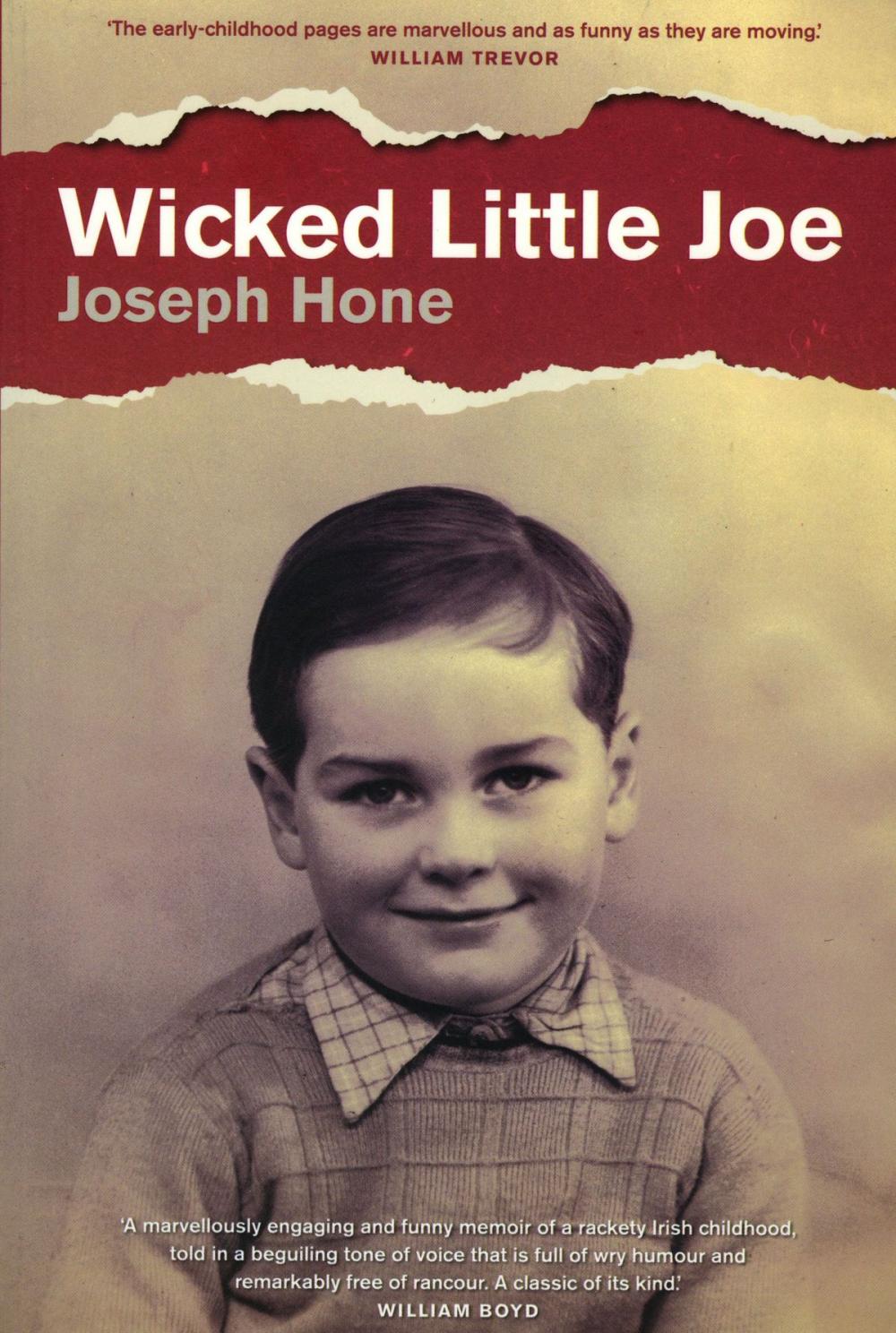 Big bigCover of Wicked Little Joe