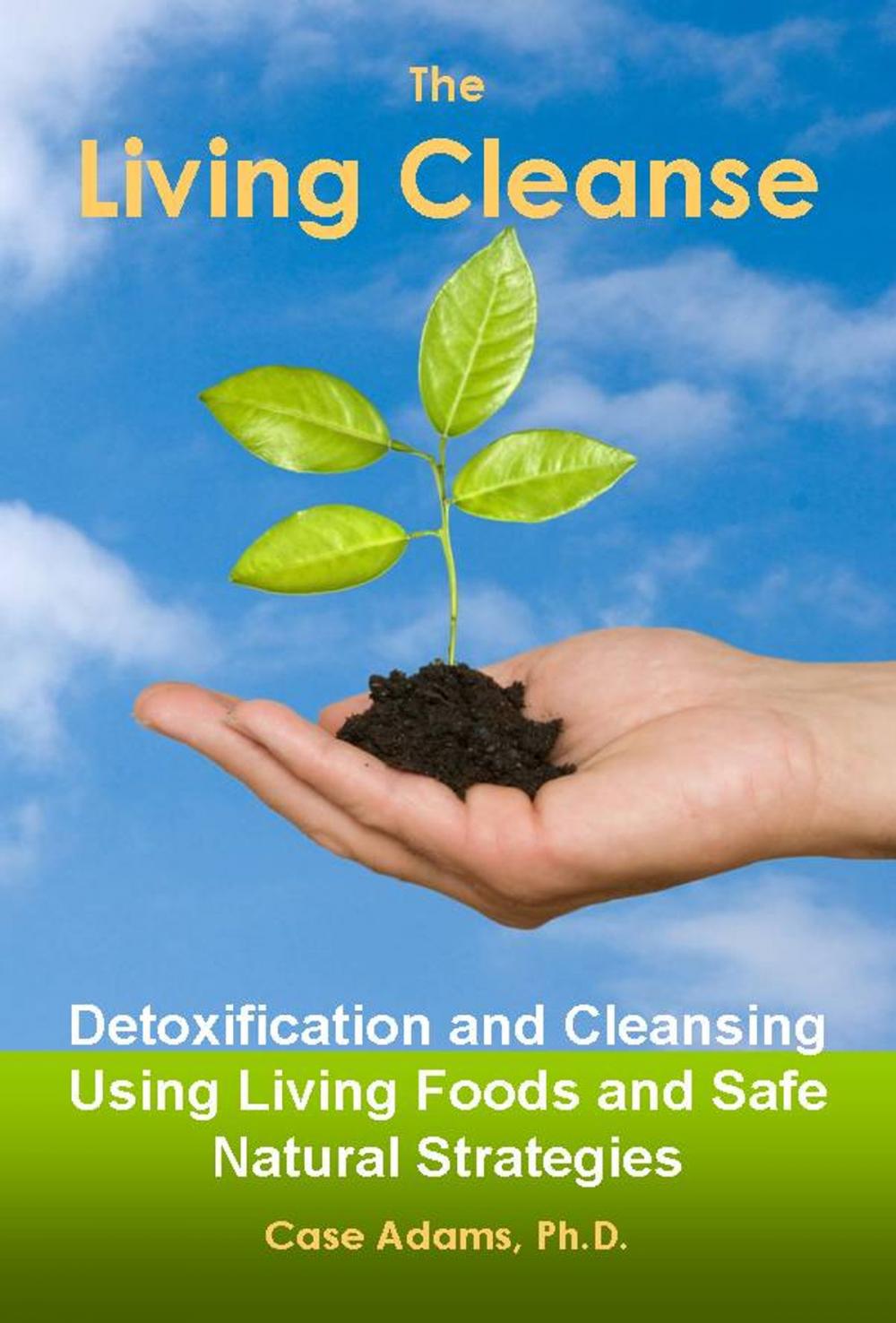 Big bigCover of The Living Cleanse