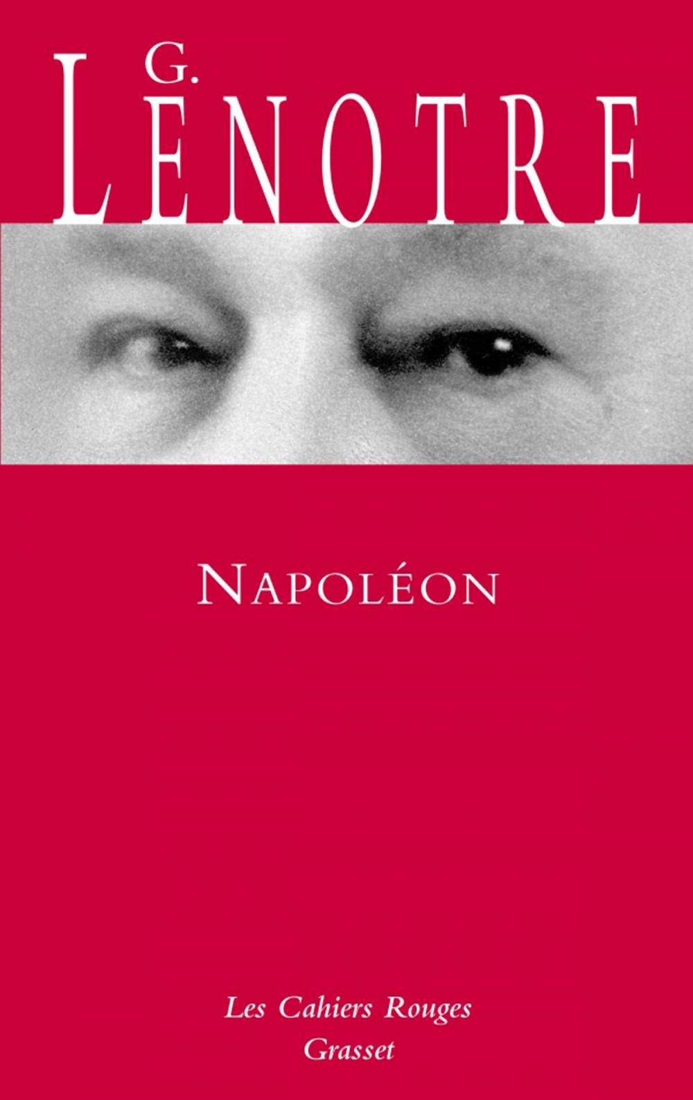 Big bigCover of Napoléon