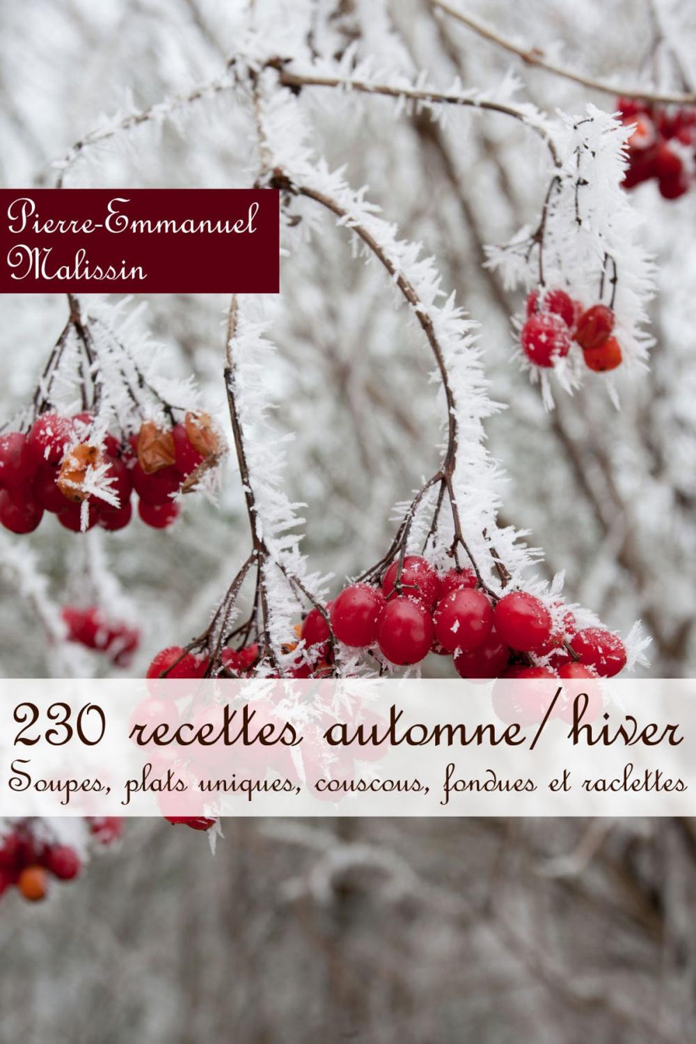 Big bigCover of 230 recettes automne/hiver (Soupes, plats uniques, couscous, fondues et raclettes