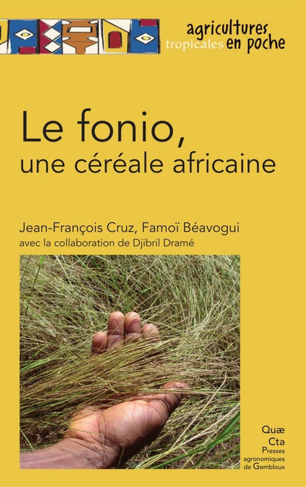 Big bigCover of Le fonio, une céréale africaine