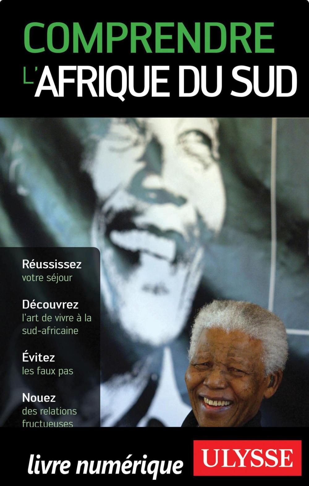 Big bigCover of Comprendre l'Afrique du Sud