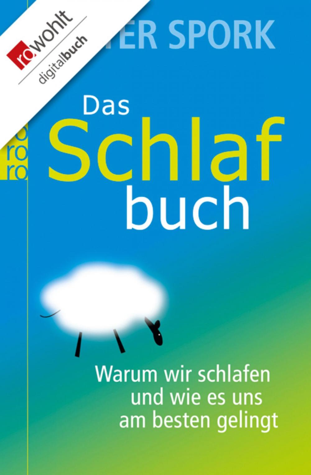 Big bigCover of Das Schlafbuch