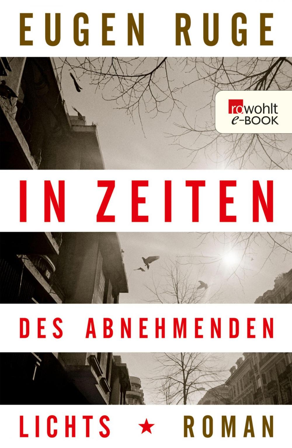 Big bigCover of In Zeiten des abnehmenden Lichts