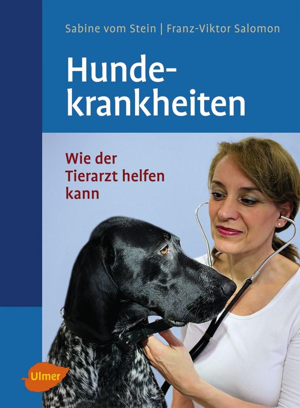 Big bigCover of Hundekrankheiten