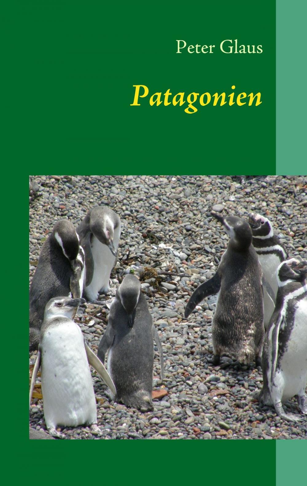 Big bigCover of Patagonien