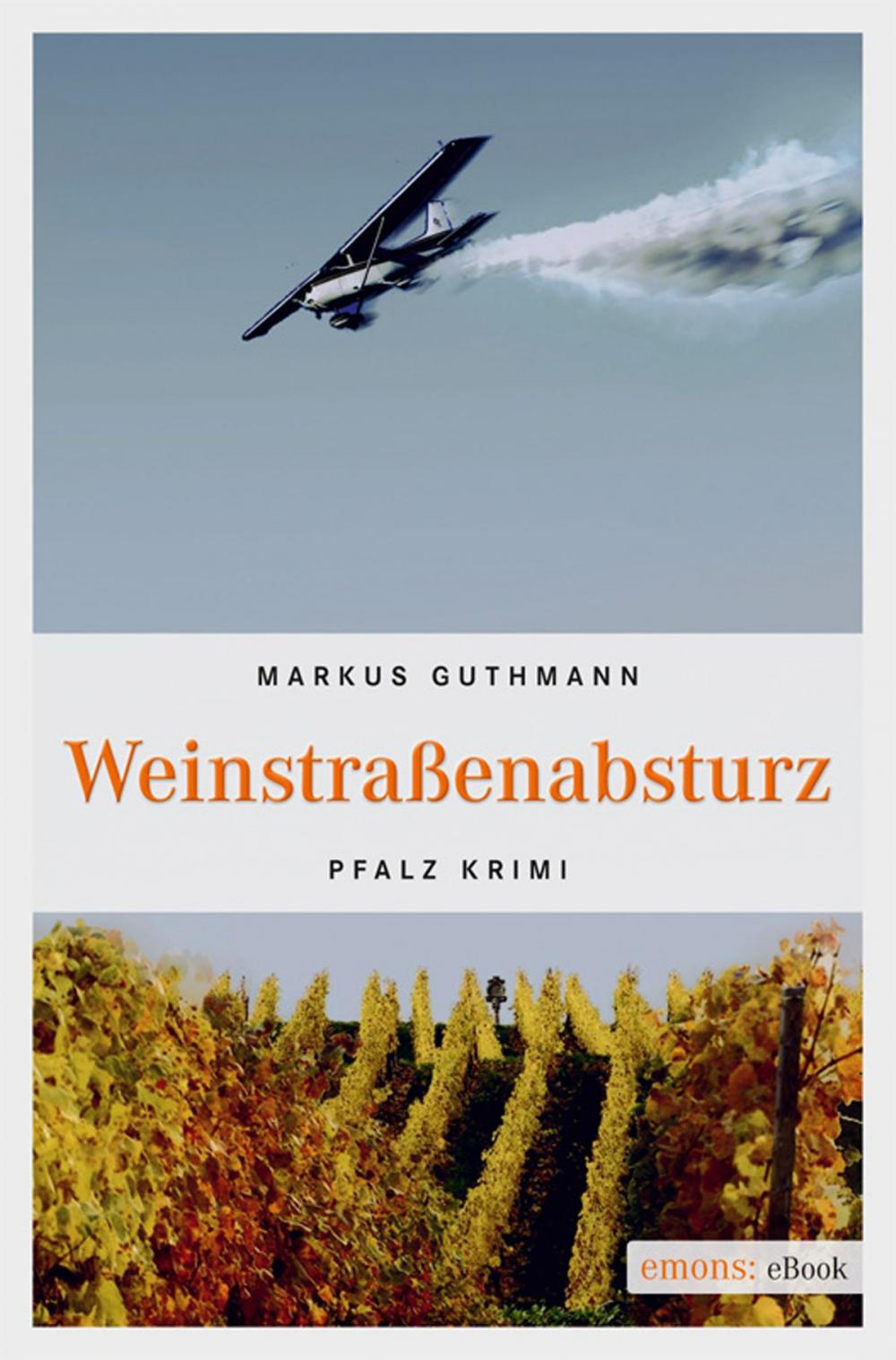 Big bigCover of Weinstraßenabsturz