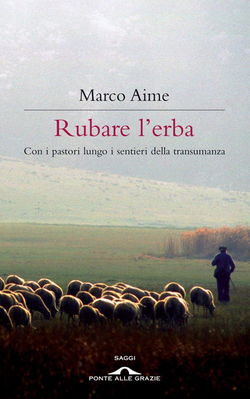 Big bigCover of Rubare l'erba