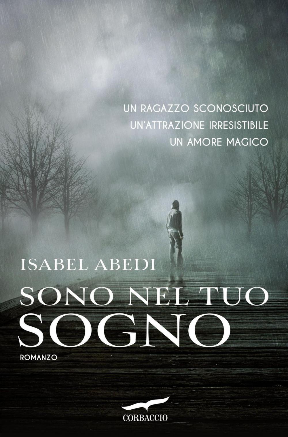 Big bigCover of Sono nel tuo sogno