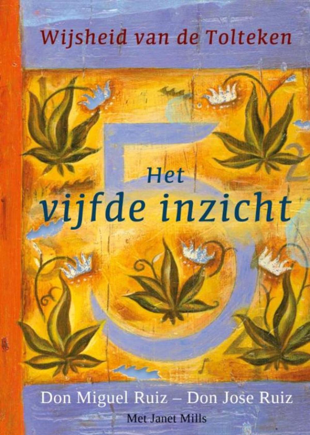 Big bigCover of Het vijfde inzicht