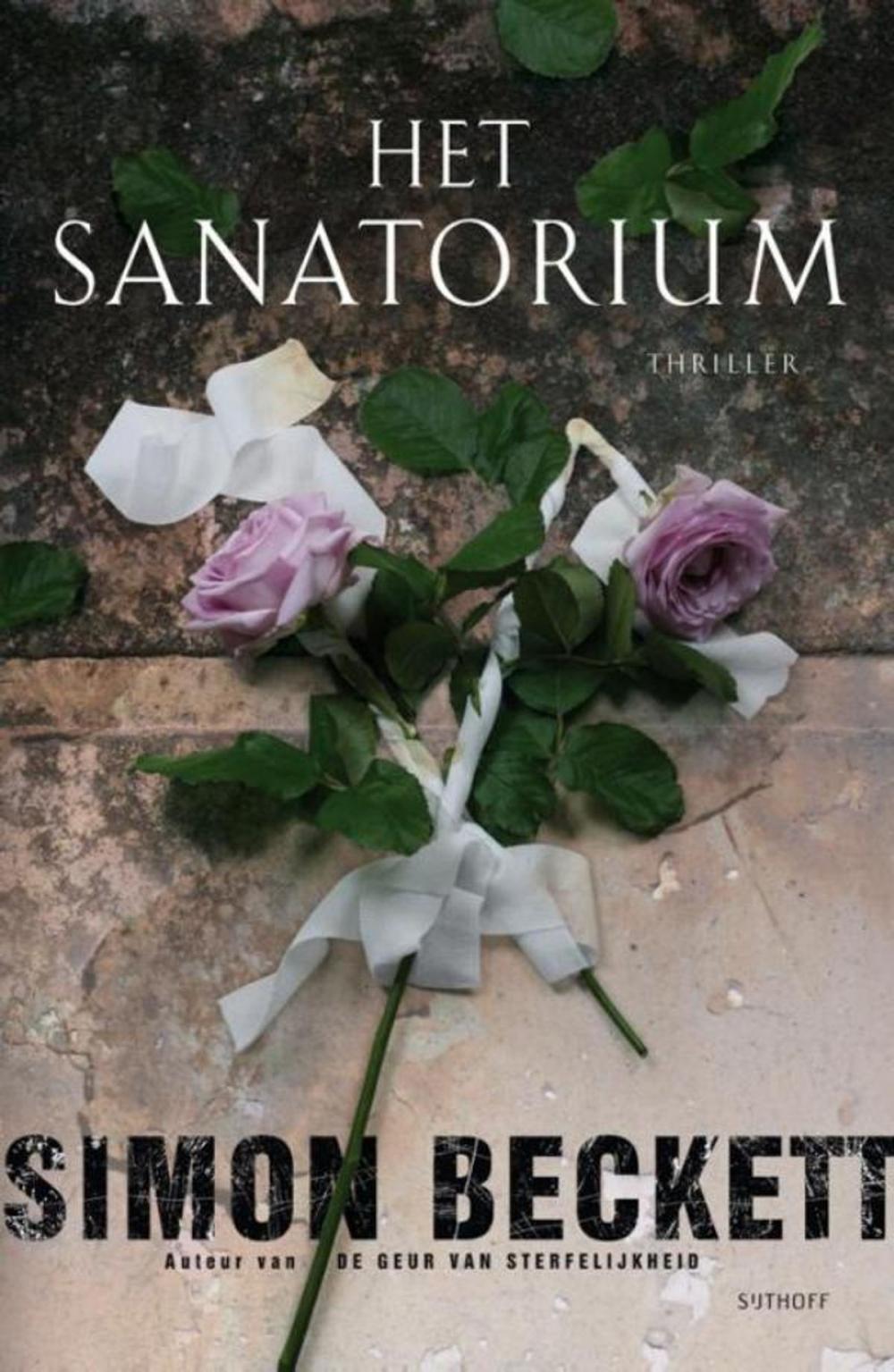 Big bigCover of Het sanatorium