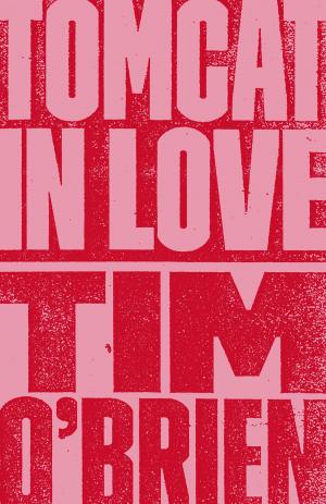 Cover of the book Tomcat in Love by Steve Doran