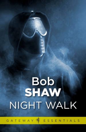Cover of the book Night Walk by Matt Pritchett