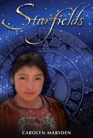 Cover of the book Starfields by Mary Asaro