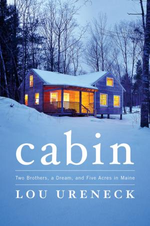 Cover of the book Cabin by Tony Judt