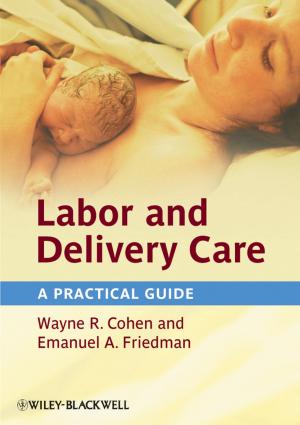 Cover of the book Labor and Delivery Care by David Ashton, Jamie Ripman, Philippa Williams