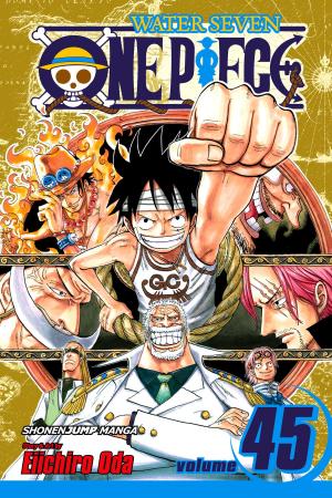 Cover of the book One Piece, Vol. 45 by Eiichiro Oda