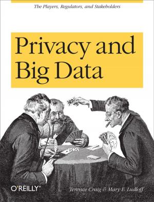 Cover of the book Privacy and Big Data by John Viega, Matt Messier, Pravir Chandra