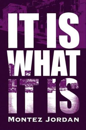 Cover of the book It Is What It Is by Ben Fitch