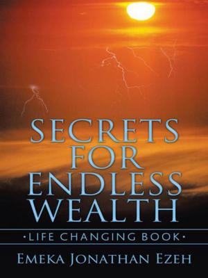 Cover of the book Secrets for Endless Wealth by Jake Lynch