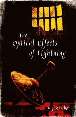 Cover of the book The Optical Effects of Lightning by Patricia Finney