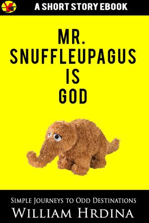 Cover of the book Mr. Snuffleupagus Is God by Reuben Davis