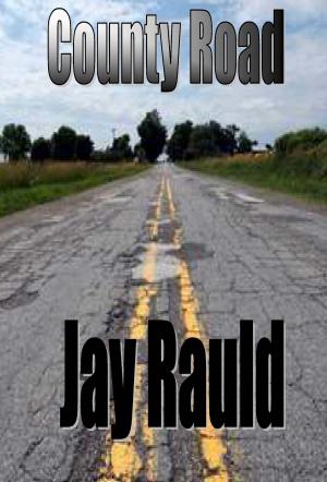 bigCover of the book County Road by 